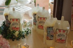 シャンプーの中の6つの精油～序章・アロマテラピー精油って？～